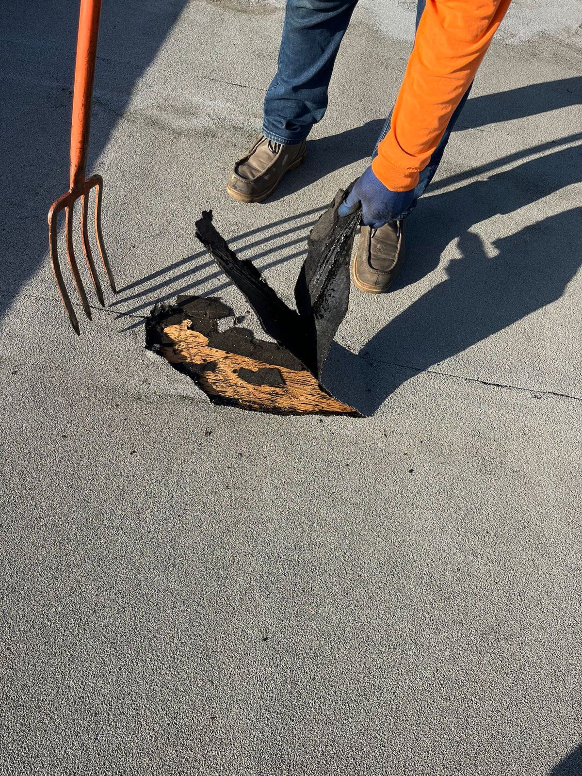 Roof inspection